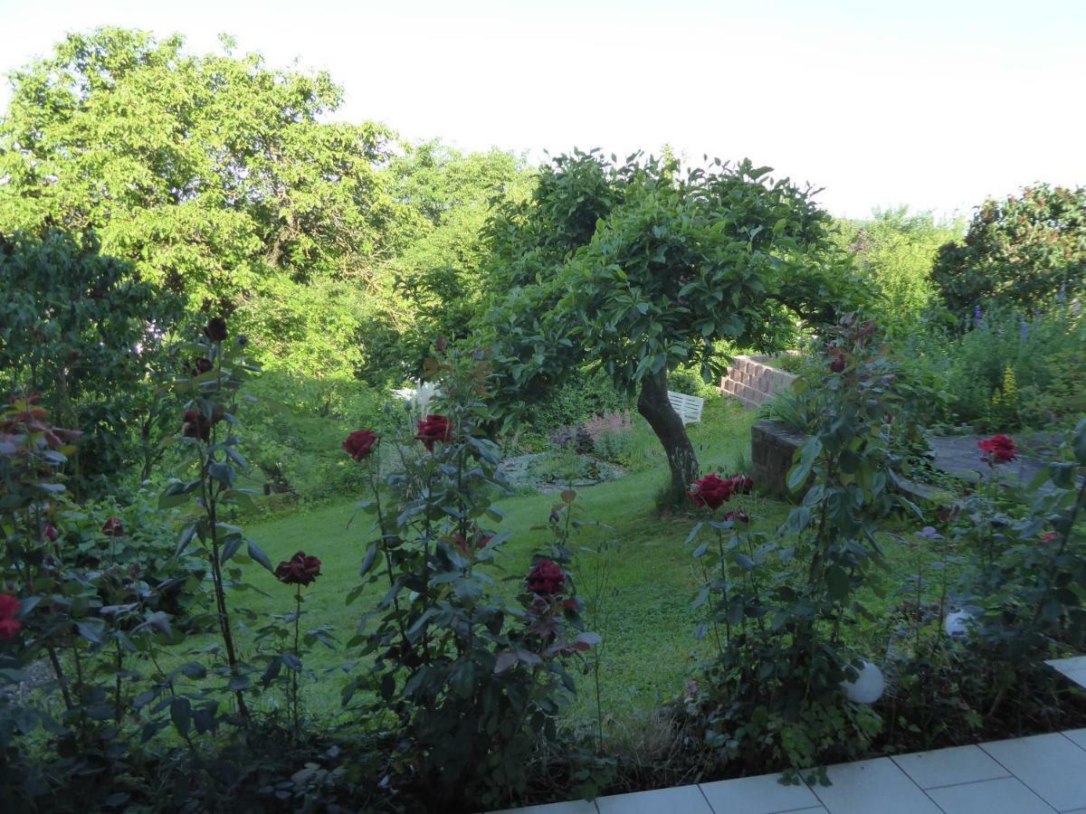 Dora 1 Apartament Michelstadt